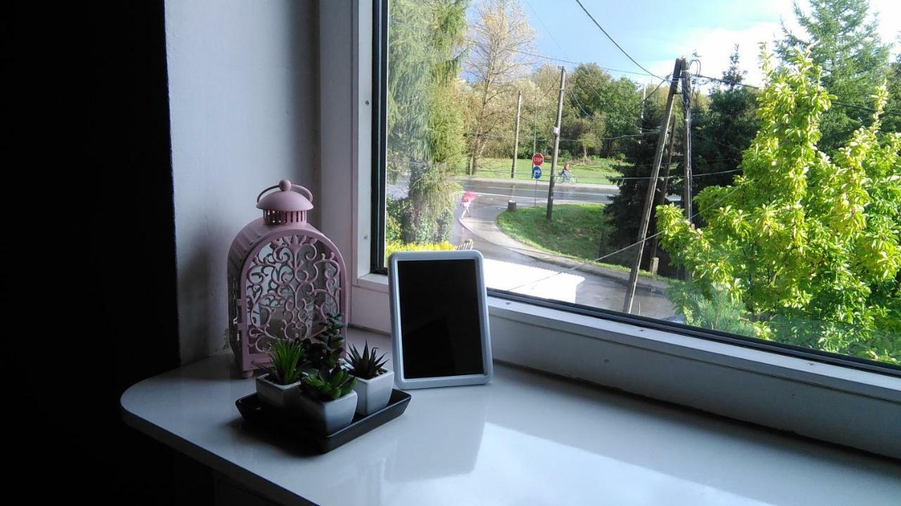 Willa Nad Sola Guest House Osvětim Exteriér fotografie